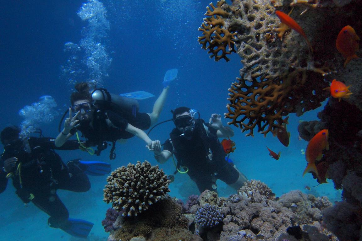 Dive Shop in Subang Jaya